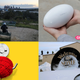 Clockwise from top left: Getty Images; Matías Zavia (Gizmodo); Associated Press; Jim Cooke (Gizmodo)